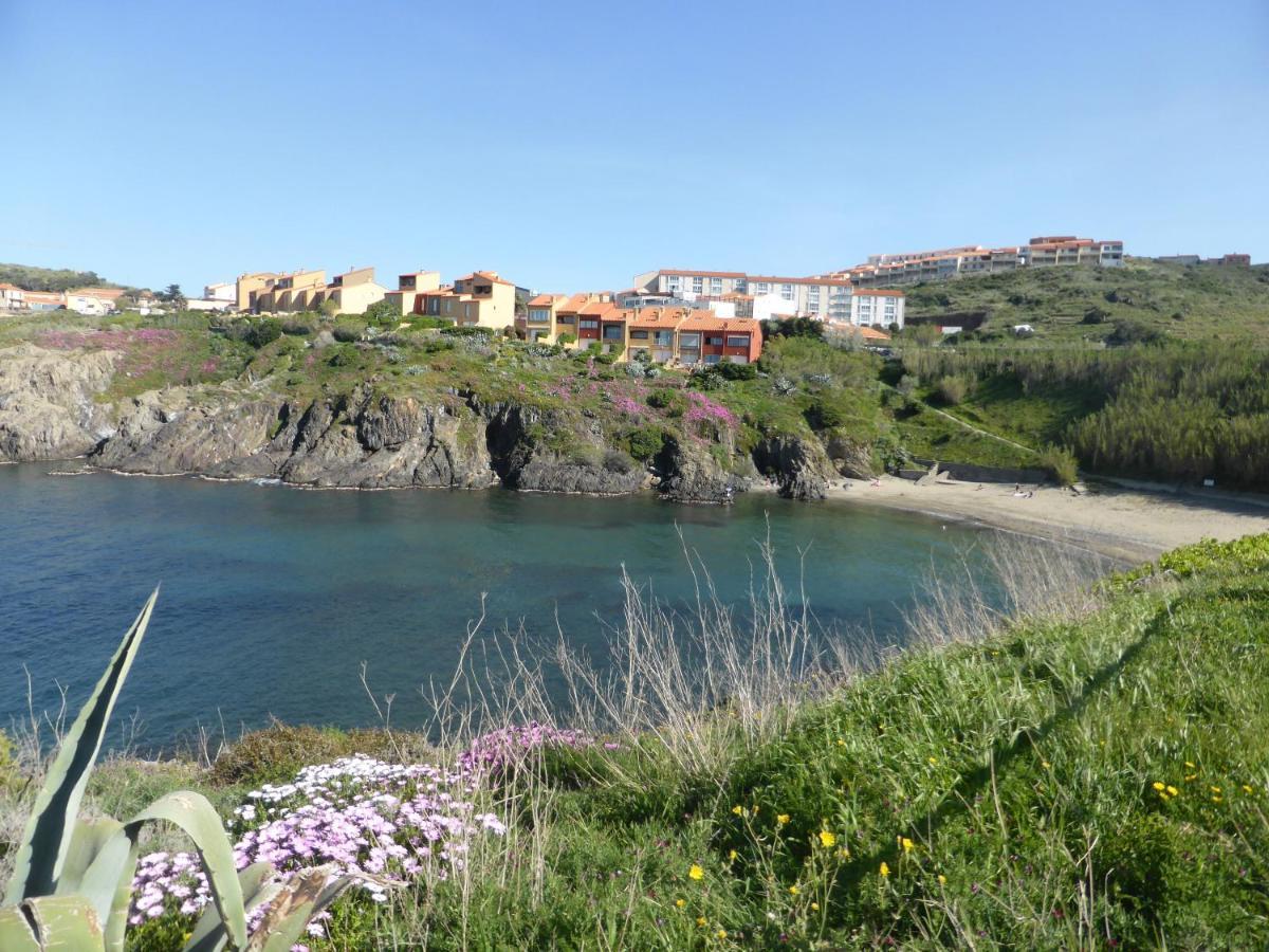 2Rb38A Appartement Vue Sur Mer Et Proche Plage Collioure Buitenkant foto